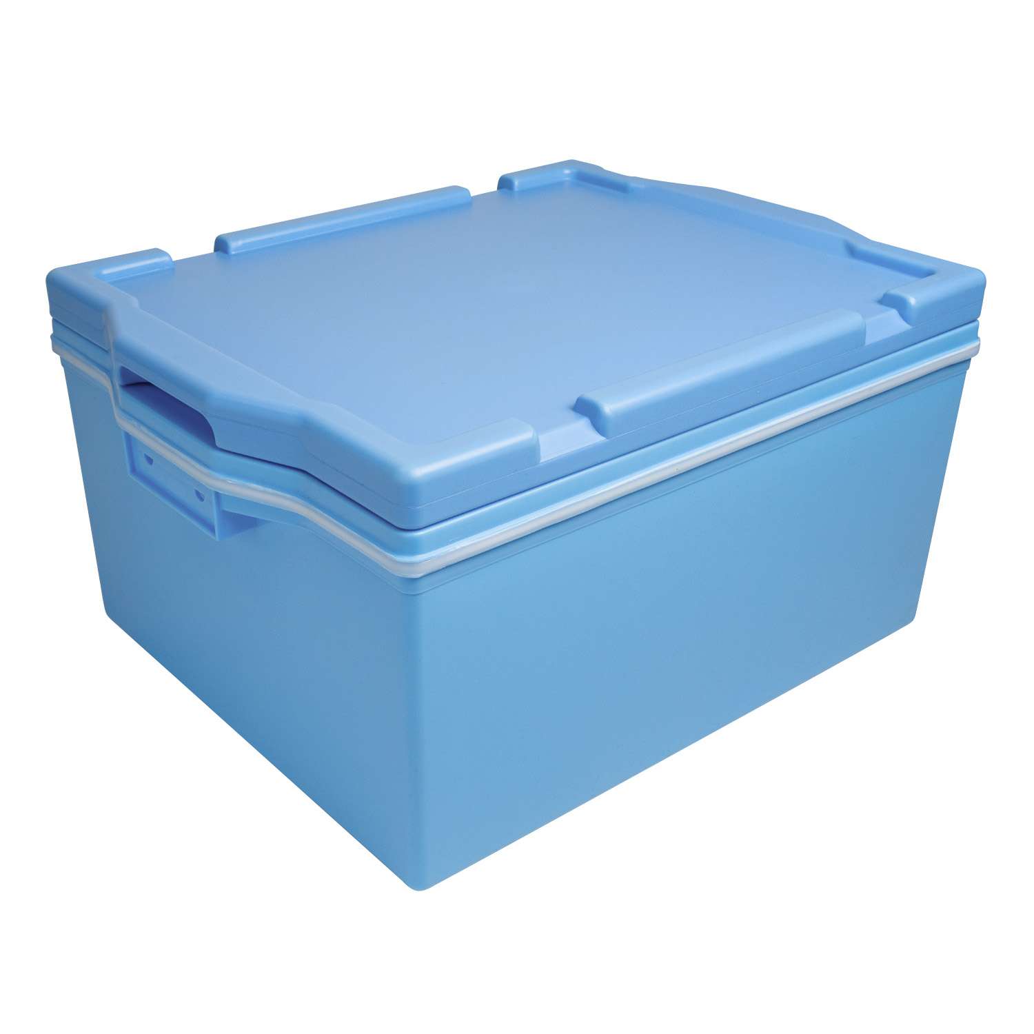 Thermal Blue Rice Container (50 Cups)